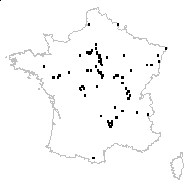 Achillea ptarmica L. subsp. ptarmica - carte des observations