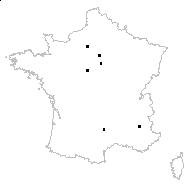 Silaum silaus (L.) Schinz & Thell. var. silaus - carte des observations