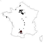 Thymus britannicus Ronniger - carte des observations