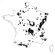 Thymus pulegioides L. subsp. pulegioides - carte des observations