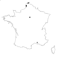 Corispermum intermedium Schweigg. - carte des observations