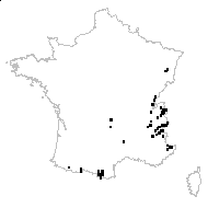 Adenostyles alliariae (Gouan) A.Kern. var. alliariae - carte des observations