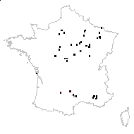 Linum petryi Beyer - carte des observations