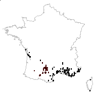 Linum strictum [var.] alternum Pers. - carte des observations