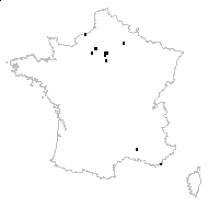 Linum usitatissimum L. subsp. usitatissimum - carte des observations