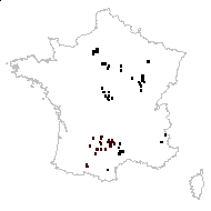 Fedia dentata var. leiosperma Wallr. - carte des observations