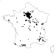 Viscum album L. subsp. album - carte des observations