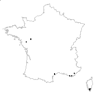 Lythrum borysthenicum (Schrank) Litv. - carte des observations