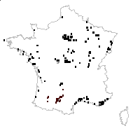 Lythrum hyssopifolia L. - carte des observations