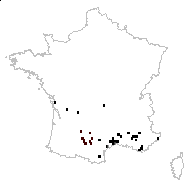 Althaea cannabina subsp. narbonensis (Pourr. ex Cav.) Nyman - carte des observations