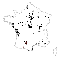 Althaea officinalis L. - carte des observations