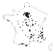 Malva vulgaris Fr. - carte des observations