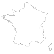 Malva aegyptia subsp. stipulacea (Cav.) O.Bolòs & Vigo - carte des observations