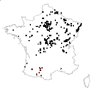 Nymphozanthus luteus (L.) Fernald - carte des observations