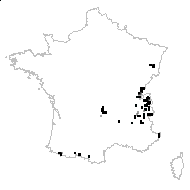 Epilobium alpestre (Jacq.) Krock. - carte des observations