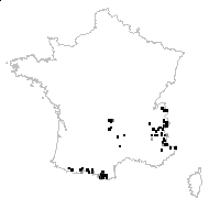 Epilobium anceps Fr. - carte des observations