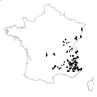 Chamerion dodonaei (Vill.) Holub - carte des observations