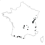 Epilobium duriaei J.Gay ex Godr. - carte des observations