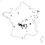 Epilobium tudense Merino - carte des observations