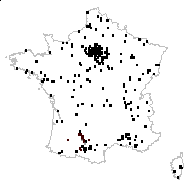 Jussiaea patibilcensis Kunth - carte des observations