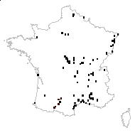 Onagra vulgaris Spach - carte des observations