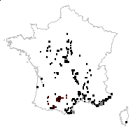 Andryala dentata Sm. - carte des observations