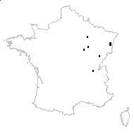 Orobanche cervariae Kirschl. ex Suard - carte des observations