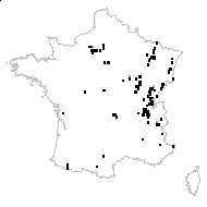 Orobanche atropurpurea F.W.Schultz - carte des observations