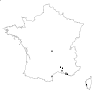 Anthemis arvensis subsp. acrochordona Briq. & Cavill. - carte des observations