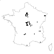 Oxalis dillenii Jacq. - carte des observations