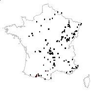 Corydalis solida Sw. - carte des observations