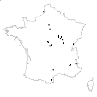 Papaver albiflorum subsp. austromoravicum Kubát - carte des observations