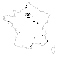 Papaver somniferum L. subsp. somniferum - carte des observations