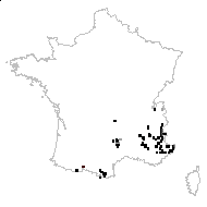 Moneses grandiflora Gray - carte des observations