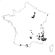 Pyrola chlorantha Sw. - carte des observations