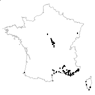 Plantago parviflora Desf. - carte des observations