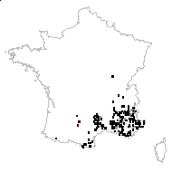 Plantago sempervirens Crantz - carte des observations