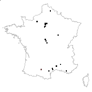 Platanus umbrosa Salisb. - carte des observations