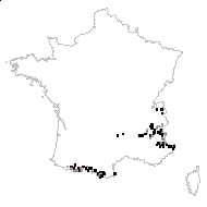 Statice montana sensu P.Fourn. - carte des observations
