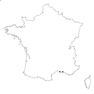 Limonium confusum (Godr. & Gren.) Fourr. - carte des observations