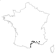 Limonium echioides (L.) Mill. - carte des observations