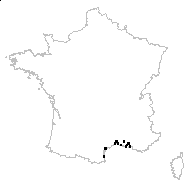 Statice densiflora Girard - carte des observations