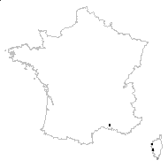 Limonium strictissimum (Salzm.) Arrigoni - carte des observations