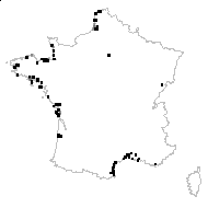 Limonium vulgare Mill. - carte des observations