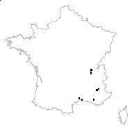 Polygala exilis DC. - carte des observations