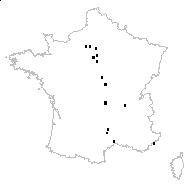 Amaranthus graecizans var. silvestris (Vill.) Asch. - carte des observations