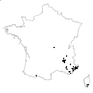 Polygala nicaeensis Risso ex W.D.J.Koch - carte des observations