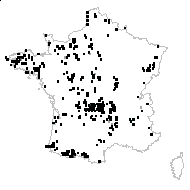 Polygala serpyllifolia Hosé - carte des observations