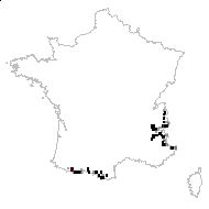 Oxyria rotundifolia Gray - carte des observations