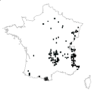 Bistorta officinalis Delarbre - carte des observations